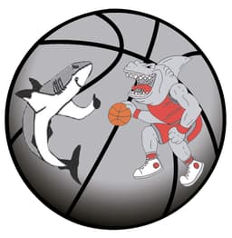 Escudo de BASQUET CANYELLES A