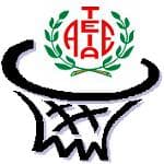 Escudo de A.E. TEIÀ