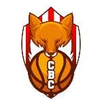 Escudo de CB CARDEDEU TECNIDA - VERMELL