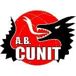 Escudo de BASQUET CUNIT - B